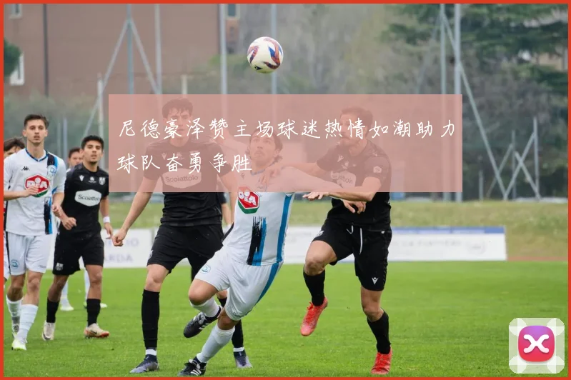 尼德豪泽赞主场球迷热情如潮助力球队奋勇争胜